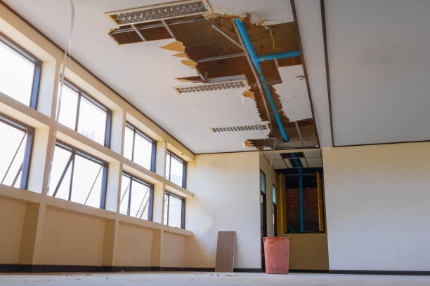 Best Emergency water damage restoration  in Brownlee Park, MI