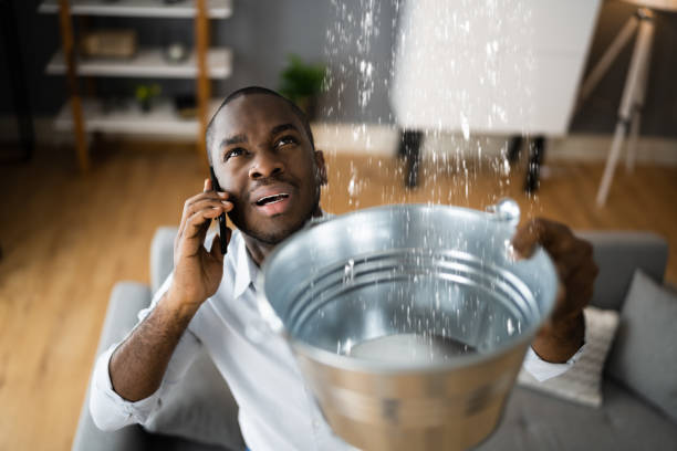 Best Water damage restoration near me  in Brownlee Park, MI