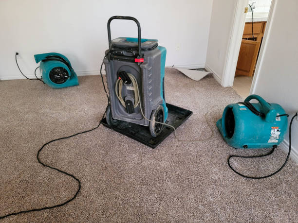 Best Professional water damage repair  in Brownlee Park, MI