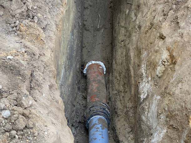 Best Flood damage cleanup  in Brownlee Park, MI