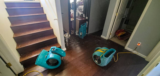 Best Carpet water damage restoration  in Brownlee Park, MI