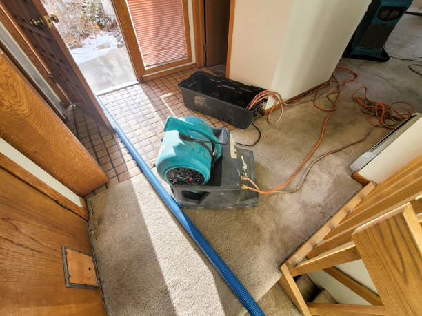 Best Water damage restoration near me  in Brownlee Park, MI