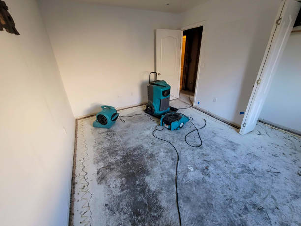 Best Water damage restoration company  in Brownlee Park, MI