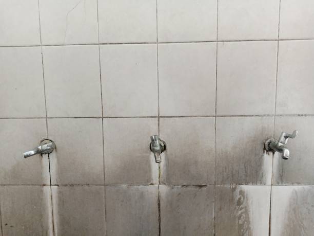 Best Water damage restoration near me  in Brownlee Park, MI