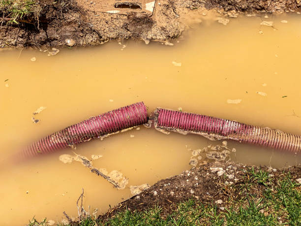 Trusted Brownlee Park, MI Water damage restoration Experts